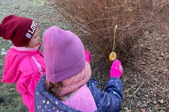 Krmení pro ptáčky z jablíček 1