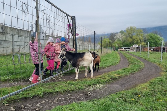 Ježečci z MŠ Soběchleby - Máme rádi zvířata  1