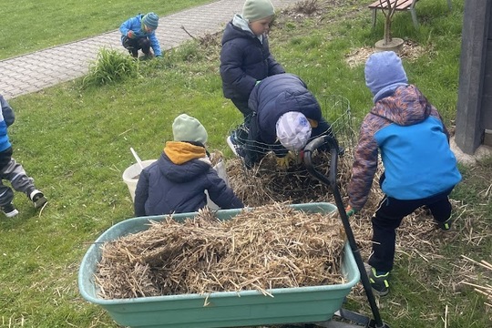 Když kompost ožívá 1