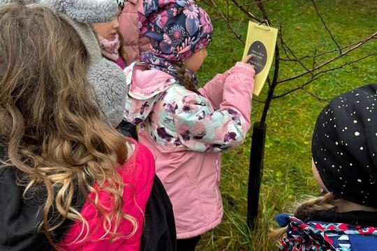 Společné projektové dny ZŠ a MŠ Bohuslavice jako cesta k praktickému vzdělávání a skutečným zkušenostem. 1