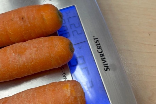 Naše zvířata - naše starost  1