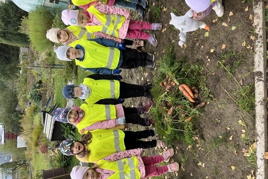 Sklízení mrkve a pečení mrkvových rohlíčků 1