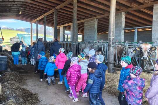 Za telátky, kůzlaty a pilnými včelkami Za telátky, kůzlaty a pilnými včelkami 1