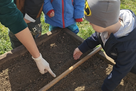 Bylinková radost v naší školce 1