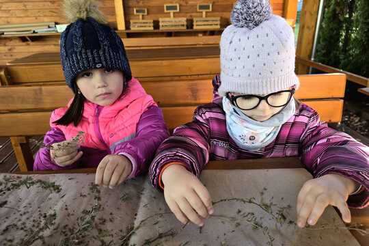 Sušíme bylinky - pokračování Sušíme bylinky - pokračování 1