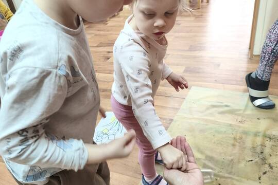 Sázení a konzumace řeřichy 1