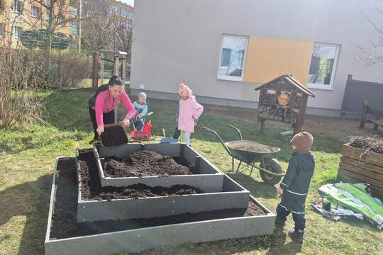 Jahodová pyramida 1