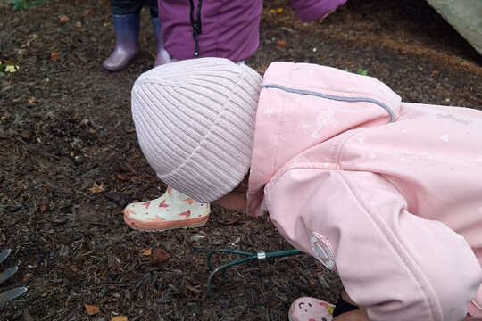 MŠ Dukelských hrdinů - Na jeden den zahradníkem 1