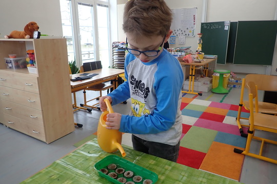 Vysévání semínek 1