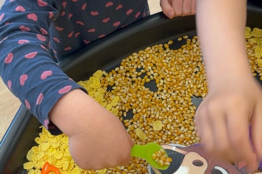 Farma ve třídě Farma ve třídě 1