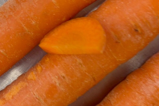 Naše zvířata - naše starost  1