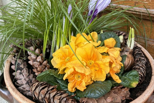 Jaro si tvoříme sami Jaro si tvoříme sami 1