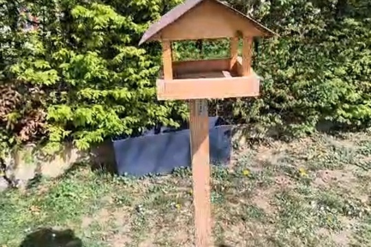 Cesta k jedlé zahradě. Cesta k jedlé zahradě. 1