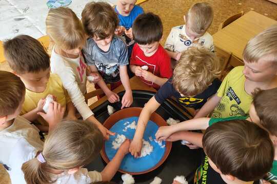 Co roste na Zemi - Sluníčka 1