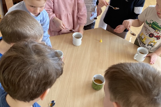 Vitamínový čaj - Berušky 1