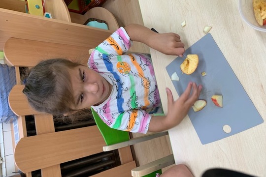 Sušení ovoce Sušení ovoce 1