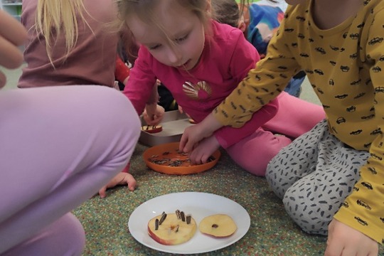 Jablečná krmítka pro ptáčky 1