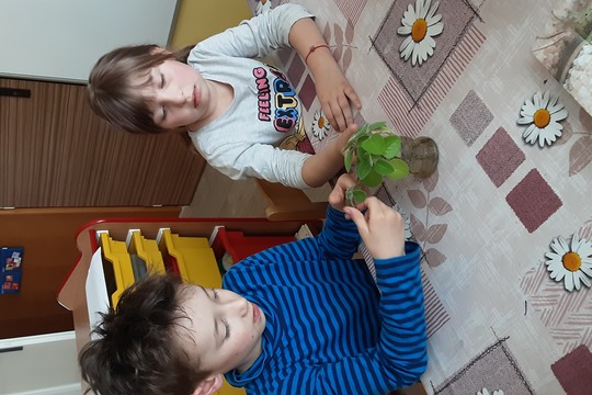 Rýmovník 1