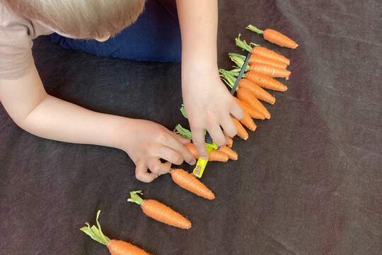 Jak Berušky pěstovaly mrkev Jak Berušky pěstovaly mrkev 1