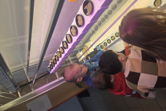 Berušky z MŠ Kollárova sází bylinky do hydroponické zahrádky Berušky z MŠ Kollárova sází bylinky do hydroponické zahrádky 1