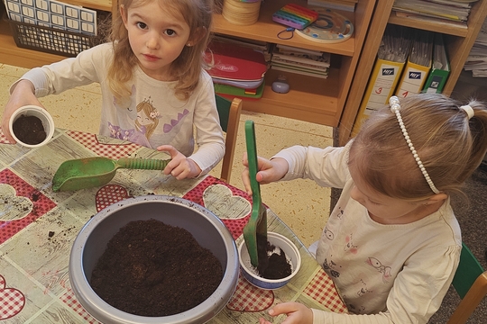 Bylinková radost v naší školce 1