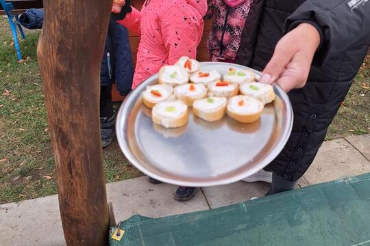 SÁZENÍ ČESNEKU  1