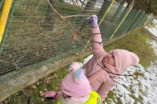 Berušky a Motýlci z MŠ Kollárova - Krmítka pro ptáčky 1