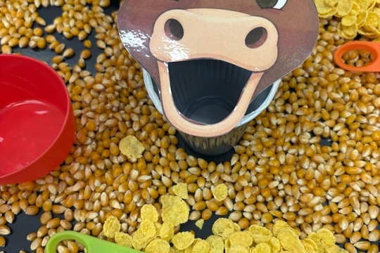 Farma ve třídě Farma ve třídě 1
