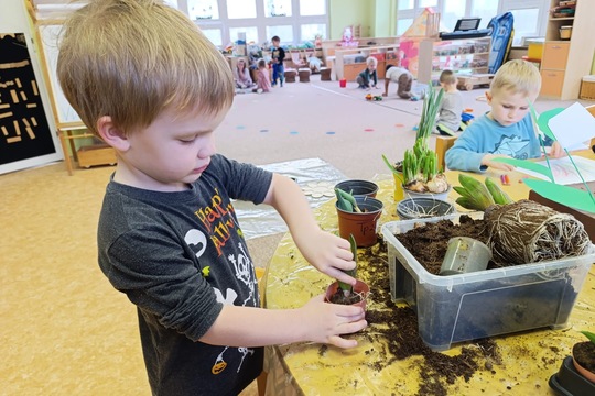 JARNÍ SÁZENÍ NA NAŠÍ ZAHRADĚ 1