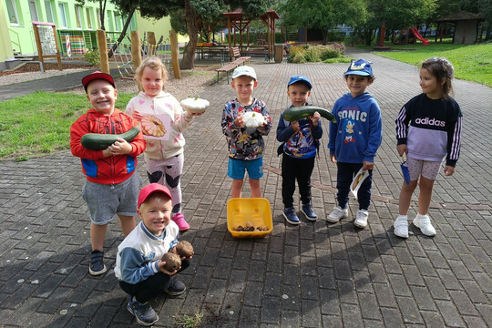 Sklizeň na školní zahradě – Koťátka 1