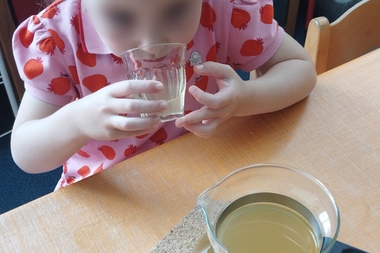 Naše lípa provoněla celou zahradu 1