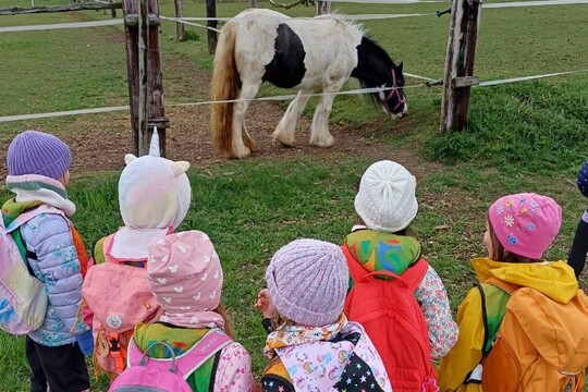 Jarní výlety za zvířátky a top jídlo 17. týdne - rizoto s pohankou, krůtím masem a zeleninou 1