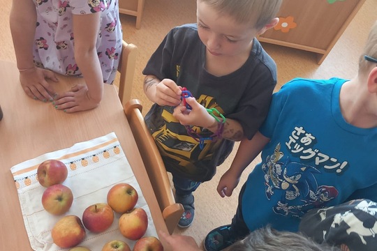 Odšťavňování Jablek 1