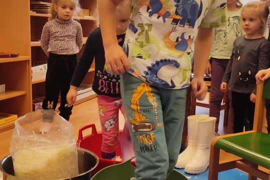 Jak jsme ve školce šlapali zelí 1