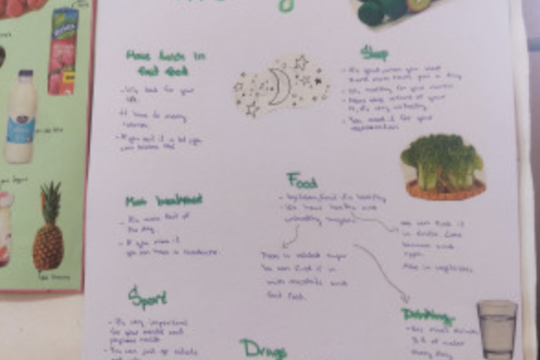 Cizojazyčné projekty na téma Zdravé stravování 1