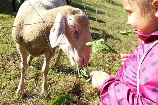 DĚTI Z MŠ MÁNESOVA  KROMĚŘÍŽ  NA FARMĚ  1