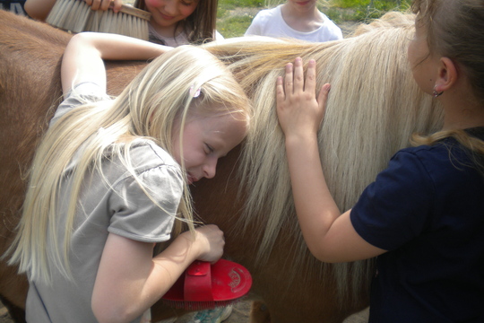 Návštěva farmy "Appaloosa". 1