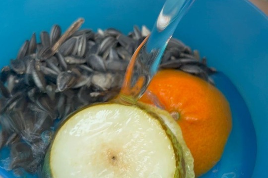 Ledová lednová krmítka  1