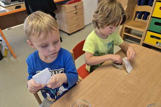 Připravujeme si bylinkový čaj  1