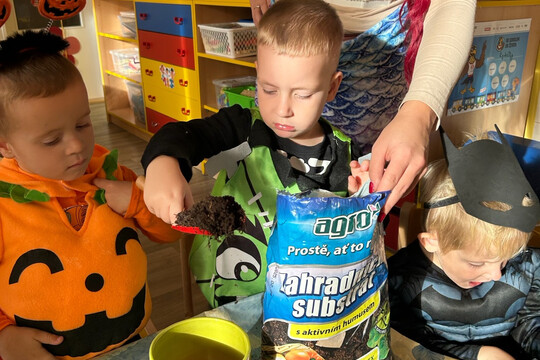 Péče o bylinky z hydroponické zahrádky Péče o bylinky z hydroponické zahrádky 1