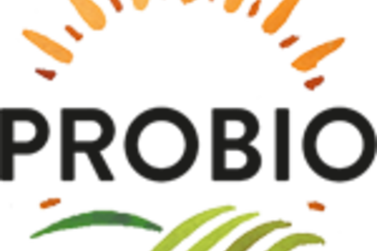 Švestkové knedlíky s tvarohem a BIO mákem Švestkové knedlíky s tvarohem a BIO mákem 1