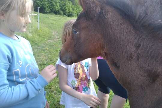 Návštěva farmy "Appaloosa". 1