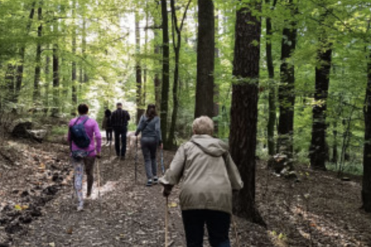 Týden zdraví 2024 1