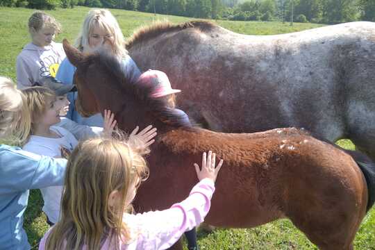 Návštěva farmy "Appaloosa". 1