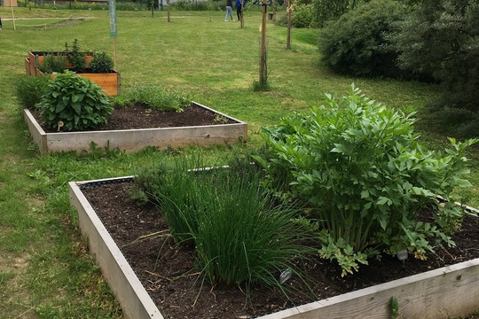 Díky podpoře společnosti Lidl se v Ludgeřovicích otevřela nová jedlá školní zahrada 1
