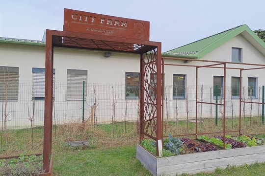 Informace z MŠ Motýlek ze setkání zástupců zapojených škol  do projektu SchoolFood4Change ve Vídni 1