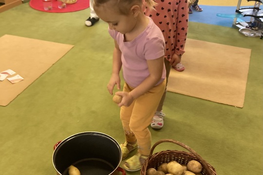 Brambory - Berušky 1