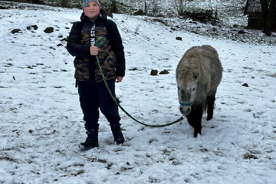 Návštěva poníků v Lísce Návštěva poníků v Lísce 1