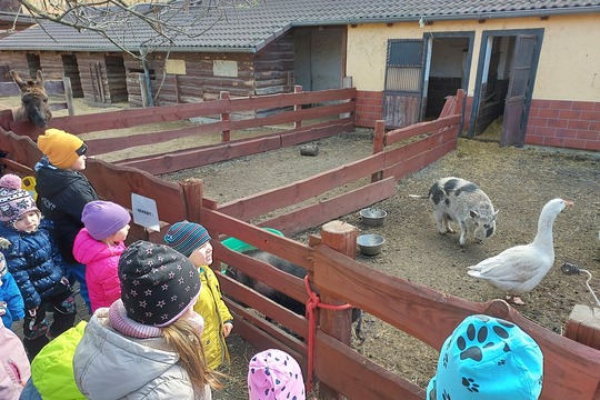 Výlet na statek " Selský dvůr " Braňany  1