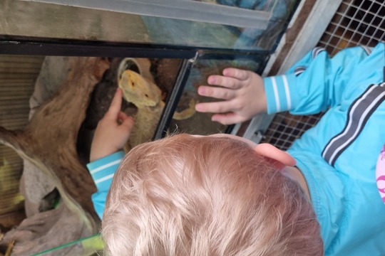 Ježečci z MŠ Soběchleby - Návštěva Bioparku v Teplicích 1